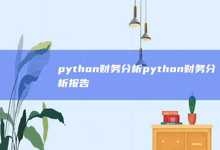 python财务分析python财务分析报告