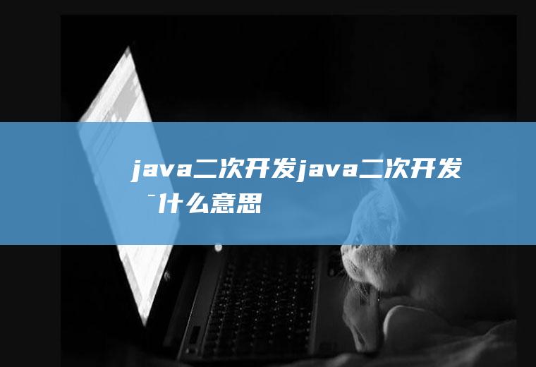 java二次开发java二次开发是什么意思