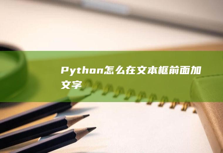 Python怎么在文本框前面加文字