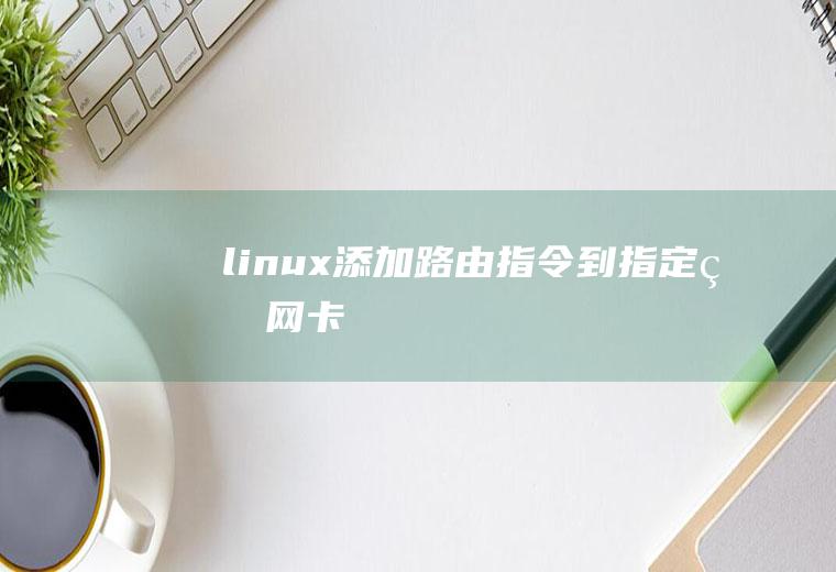 linux添加路由指令到指定的网卡