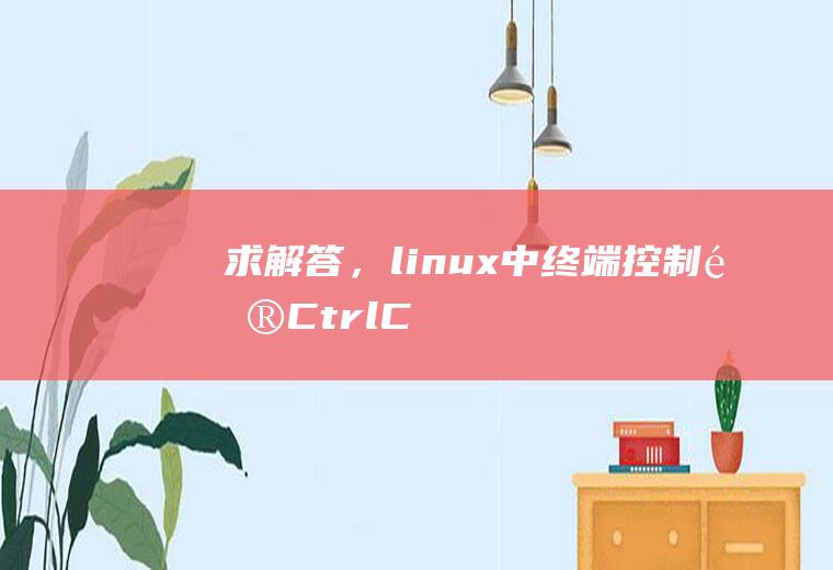 求解答，“linux中终端控制键Ctrl+C,Ctrl+Z,Ctrl+D的使用场合”