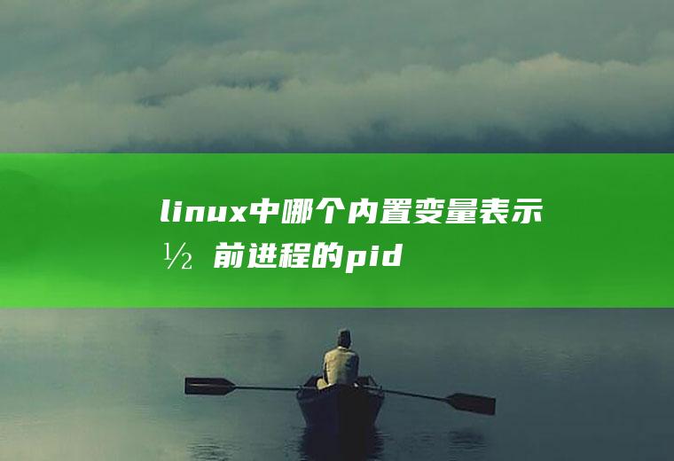 linux中哪个内置变量表示当前进程的pid