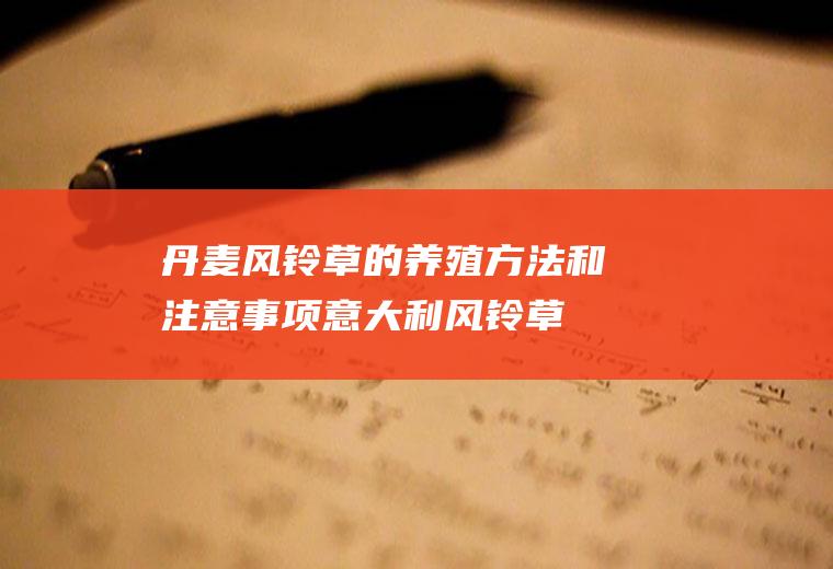 丹麦风铃草的养殖方法和注意事项(意大利风铃草的养殖方法和注意事项)