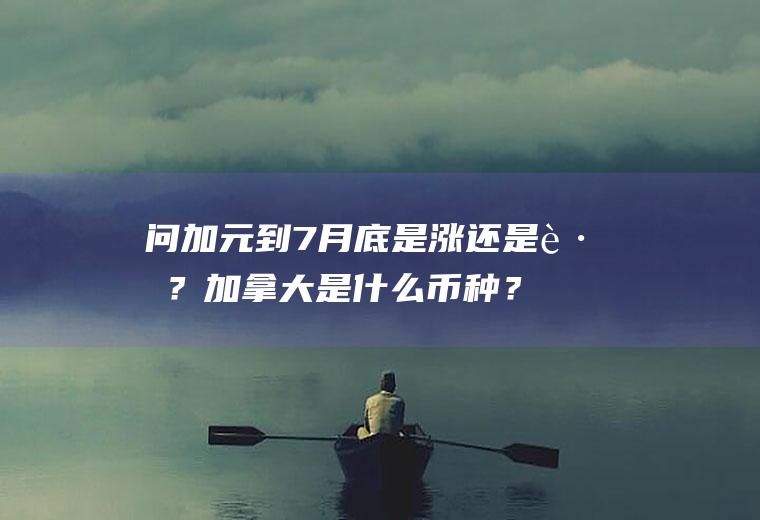 问加元到7月底是涨还是跌？加拿大是什么币种？