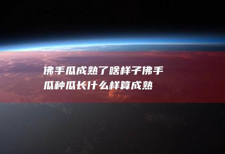 佛手瓜成熟了啥样子(佛手瓜种瓜长什么样算成熟)