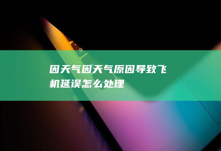 因天气因天气原因导致飞机延误怎么处理